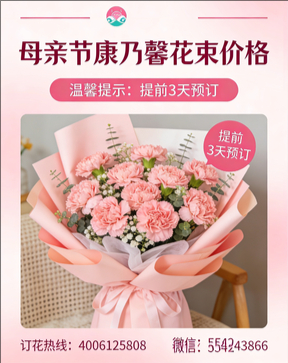 本溪本溪县花店母亲节康乃馨花束