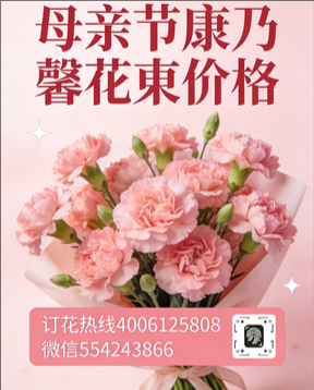 本溪本溪县花店母亲节康乃馨花束